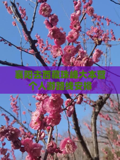 襄阳去西藏珠峰大本营个人游