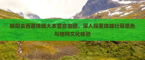 朝阳去西藏珠峰大本营自由团