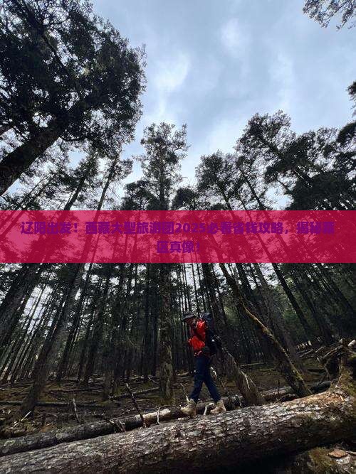 辽阳去西藏大型旅游团