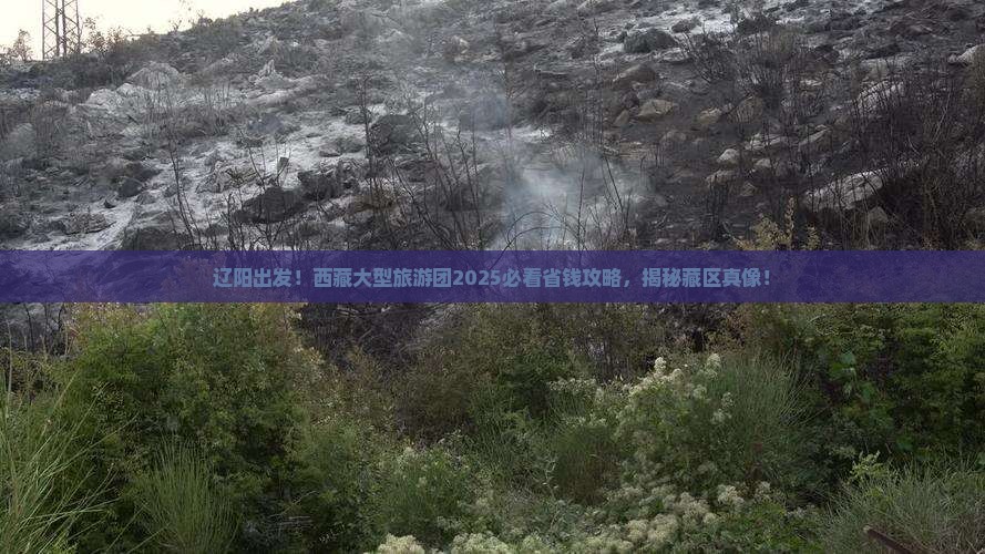 辽阳去西藏大型旅游团