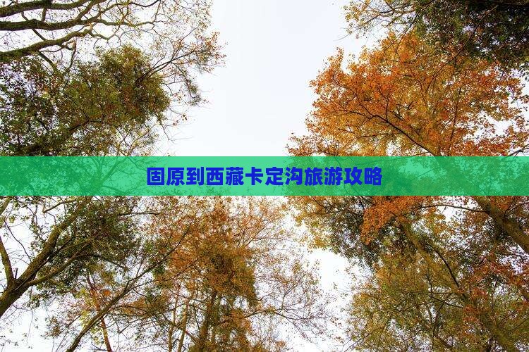 固原到西藏卡定沟哪里玩