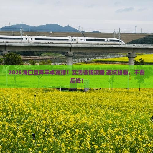 海口去西藏羊卓雍措景点