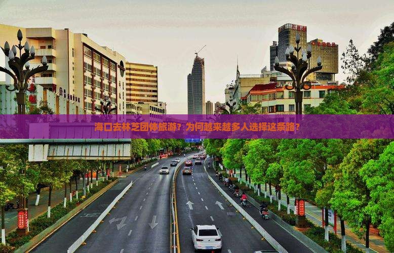 海口去西藏林芝团体旅游