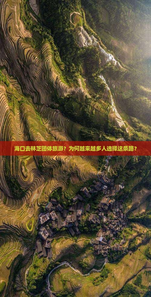 海口去西藏林芝团体旅游