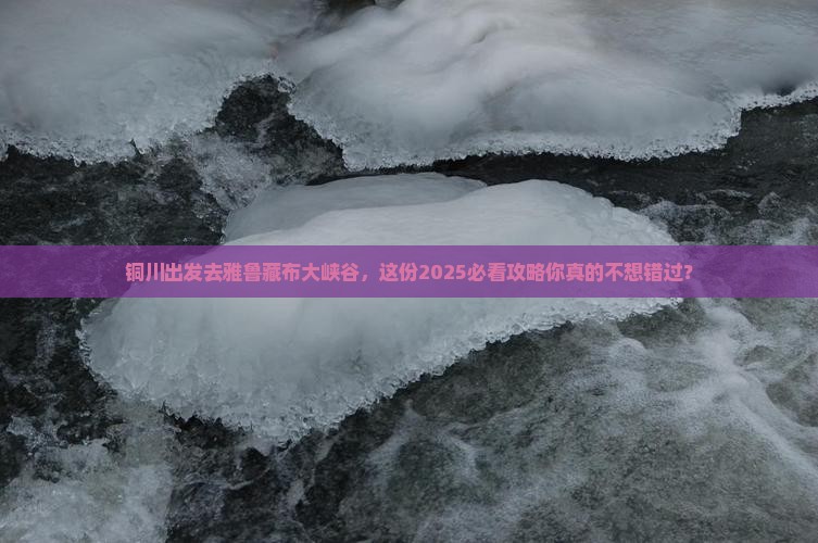铜川去西藏雅鲁藏布大峡谷攻略