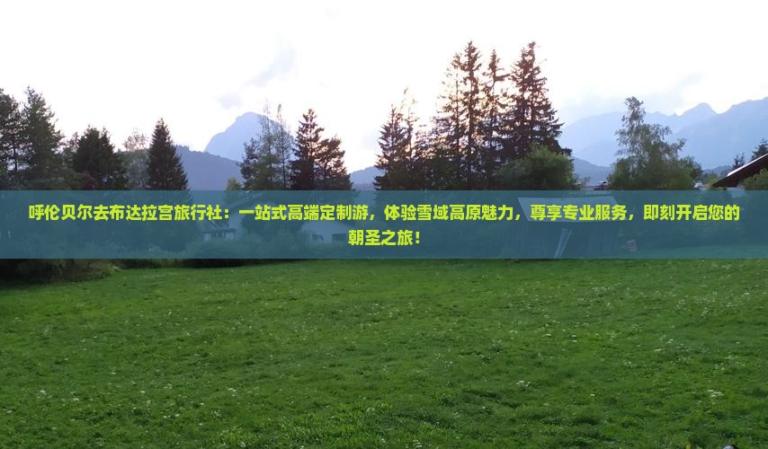 呼伦贝尔去西藏布达拉宫旅行社