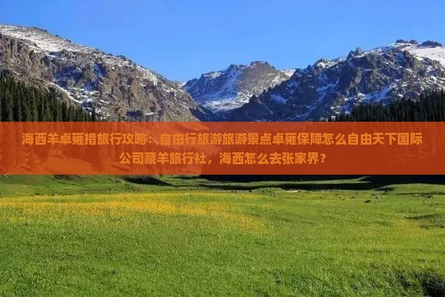 海西去西藏羊卓雍措攻略