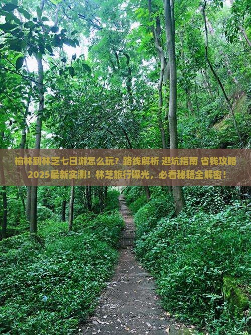 榆林到西藏林芝七日游