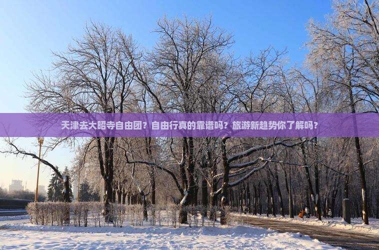 天津去西藏大昭寺自由团