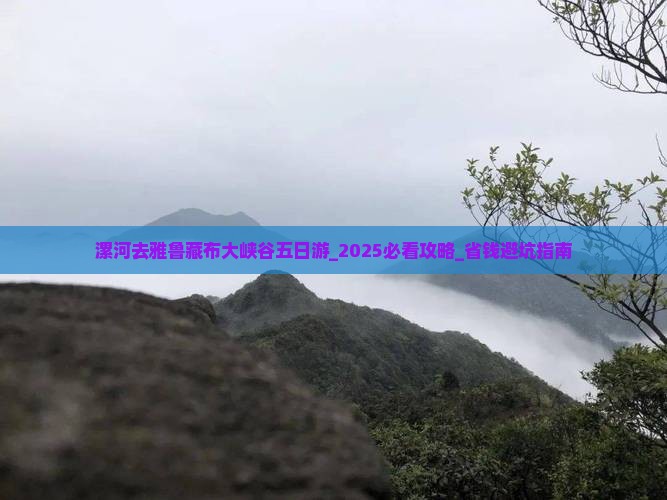 漯河去西藏雅鲁藏布大峡谷五日游