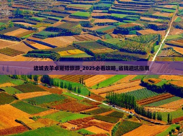 诸城去西藏羊卓雍措旅游