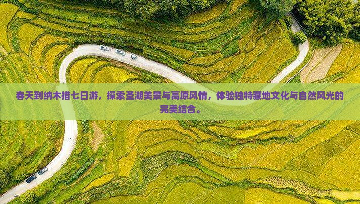 春天到西藏纳木措七日游