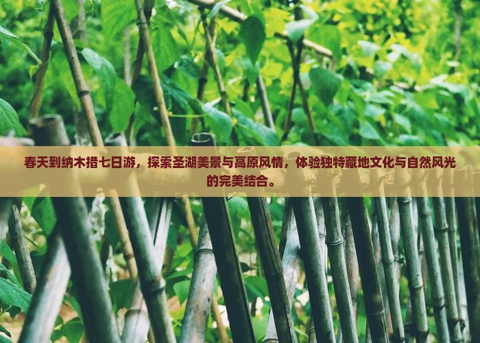 春天到西藏纳木措七日游