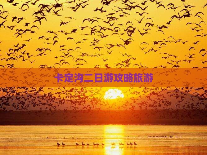 垦利去西藏卡定沟二日游
