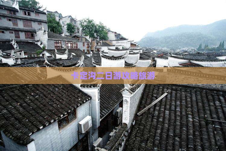 垦利去西藏卡定沟二日游