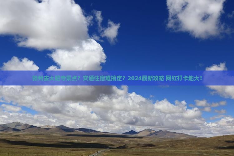 赣州去西藏大昭寺景点