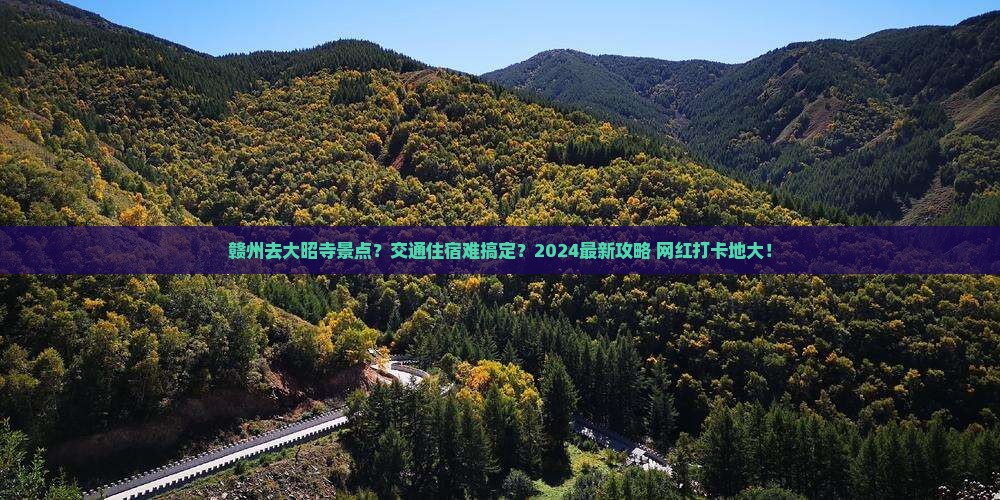 赣州去西藏大昭寺景点