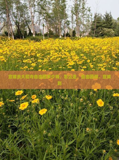 宣城去西藏大昭寺自由团