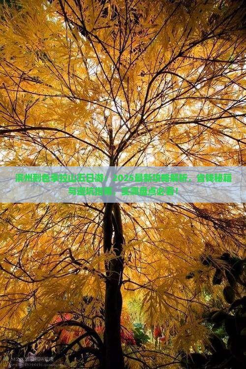 滨州到西藏色季拉山五日游