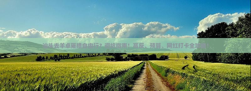 汕头去西藏羊卓雍措自由行