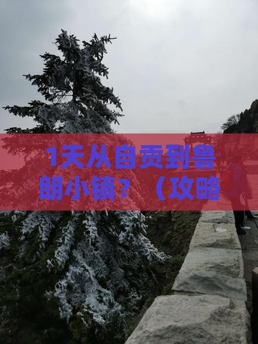 自贡到西藏鲁朗小镇一日