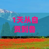自贡到西藏鲁朗小镇一日