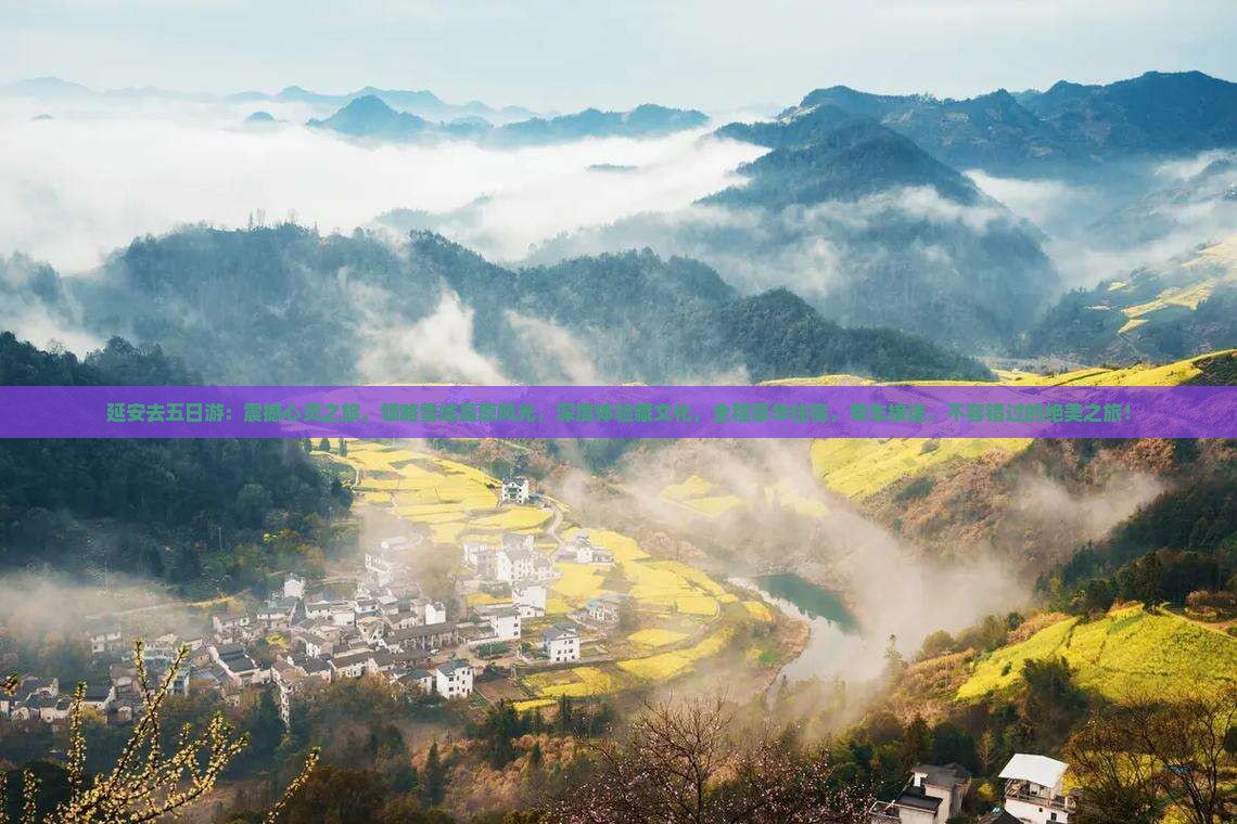 延安去西藏五日游