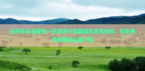 拉萨去西藏羊卓雍措一日