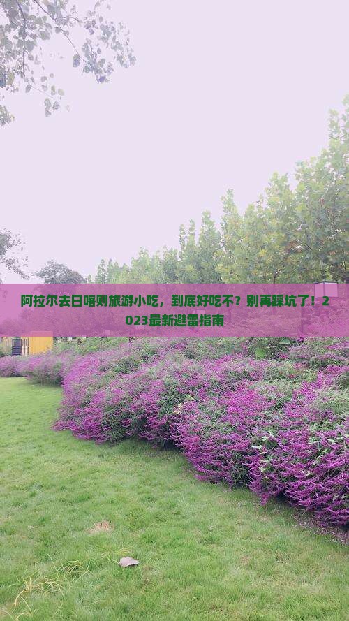 阿拉尔去西藏日喀则旅游小吃
