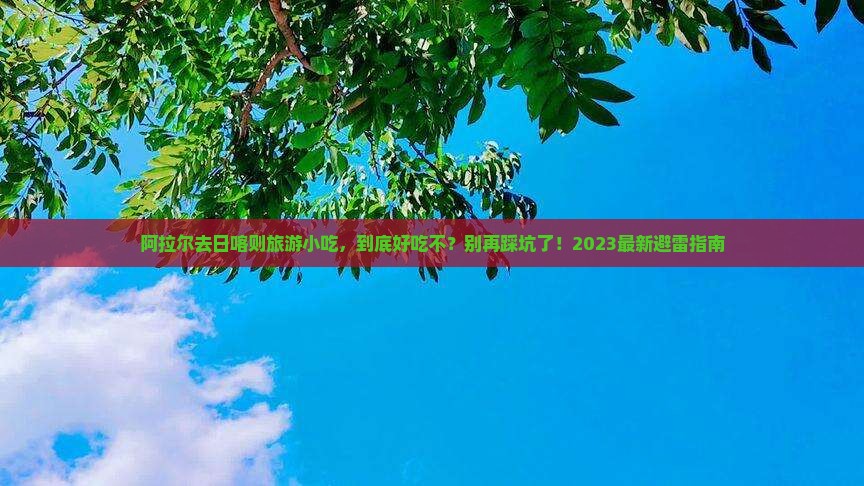 阿拉尔去西藏日喀则旅游小吃