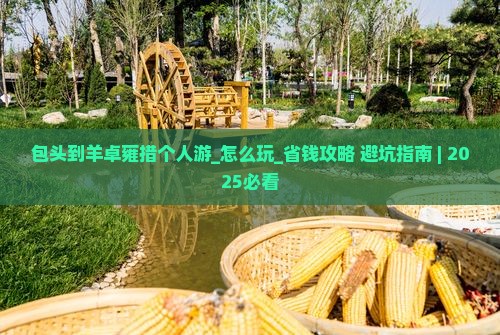 包头到西藏羊卓雍措个人游