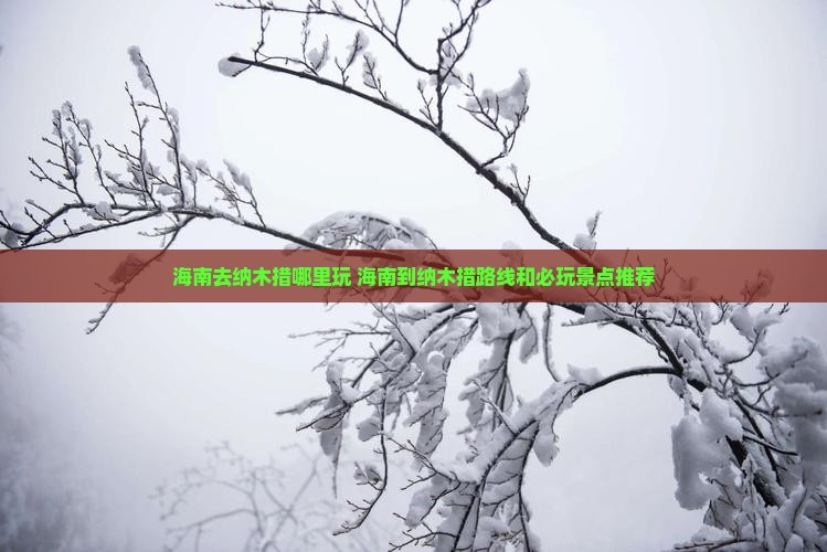 海南去西藏纳木措哪里玩