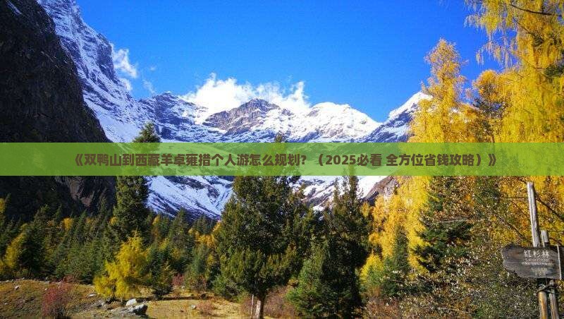 双鸭山到西藏羊卓雍措个人游