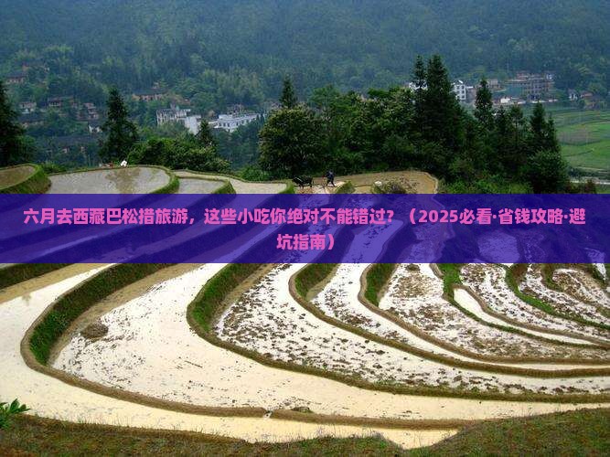 六月去西藏巴松措旅游小吃