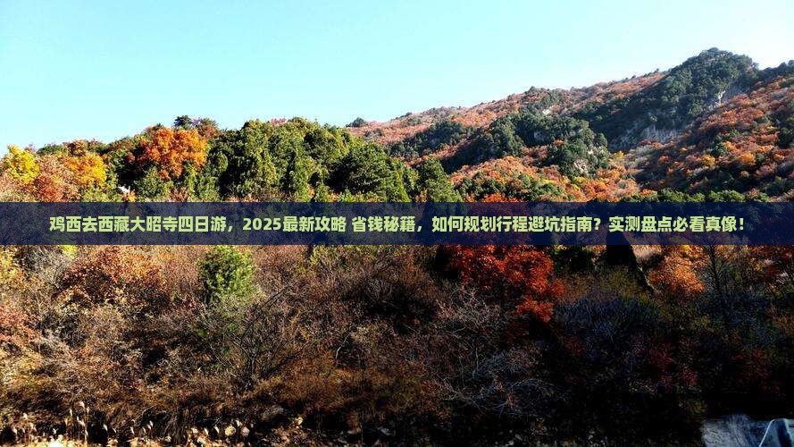 鸡西去西藏大昭寺四日游