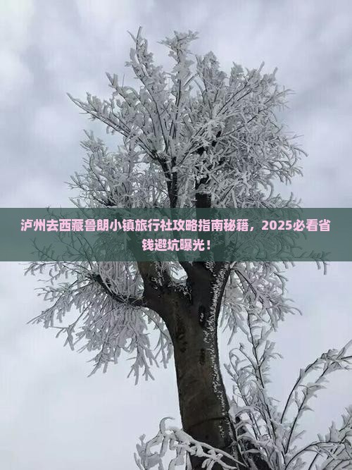 泸州去西藏鲁朗小镇旅行社