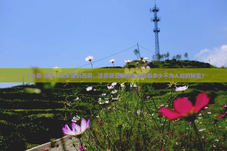 东营到西藏必去地