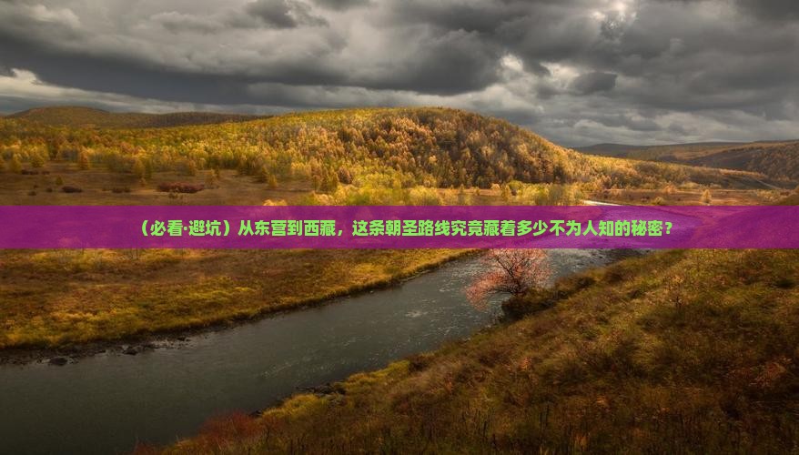 东营到西藏必去地