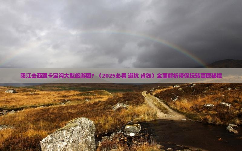阳江去西藏卡定沟大型旅游团