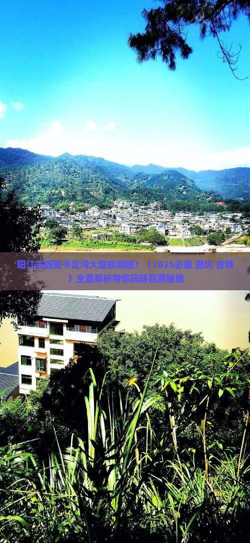 阳江去西藏卡定沟大型旅游团