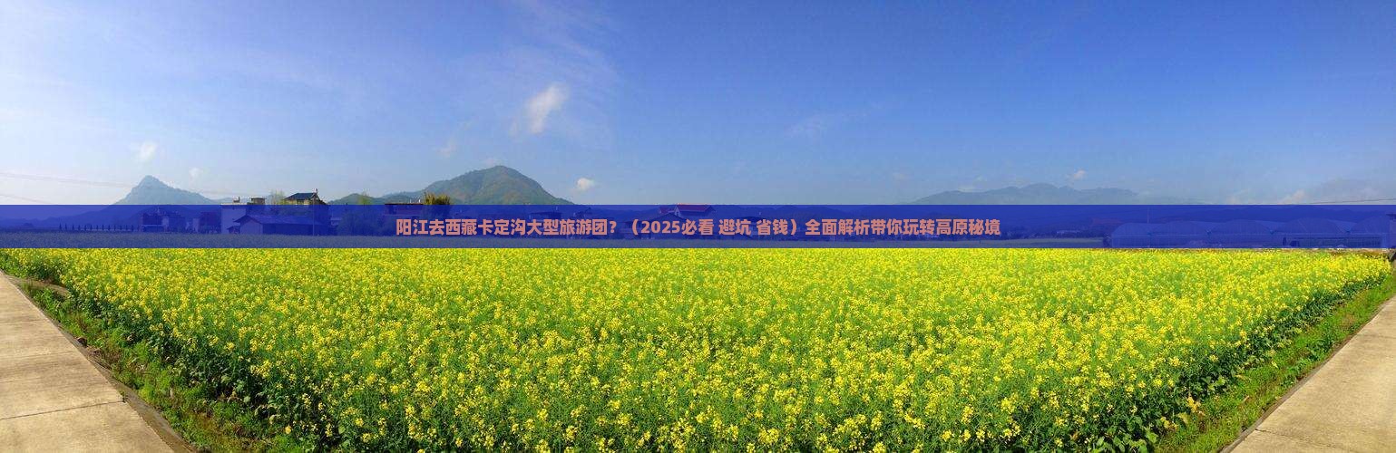 阳江去西藏卡定沟大型旅游团