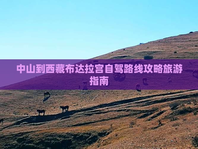 中山到西藏布达拉宫一日