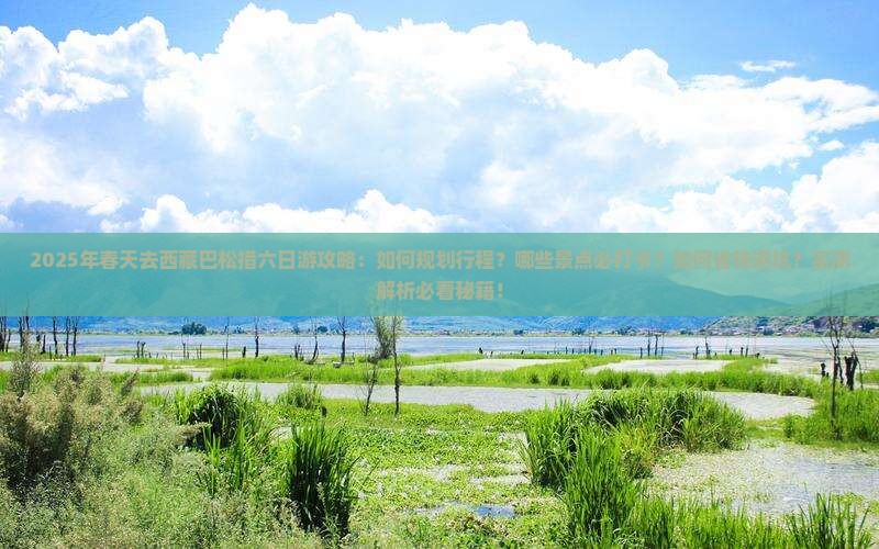 春天去西藏巴松措六日游