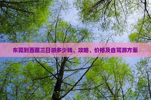 东莞到西藏三日游