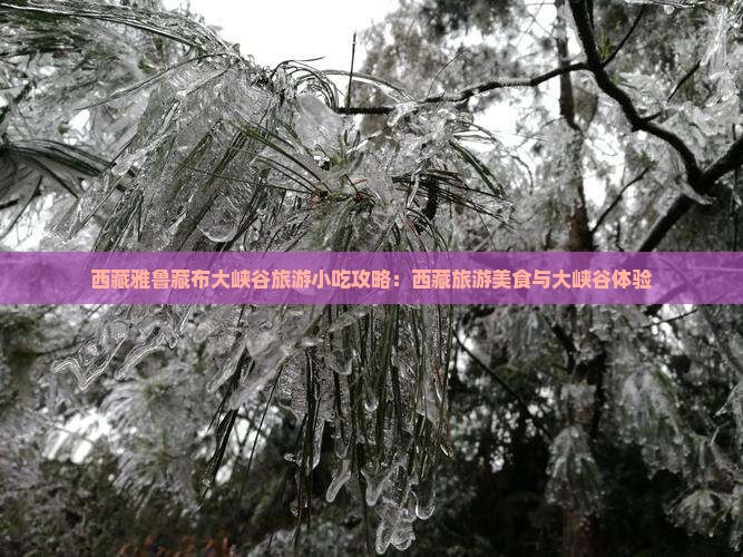 临夏到西藏雅鲁藏布大峡谷旅游小吃