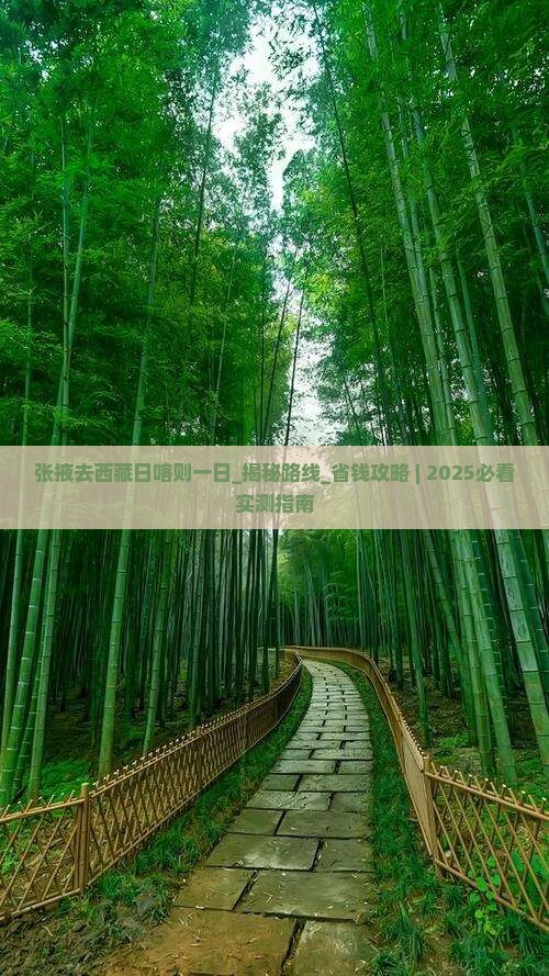 张掖去西藏日喀则一日
