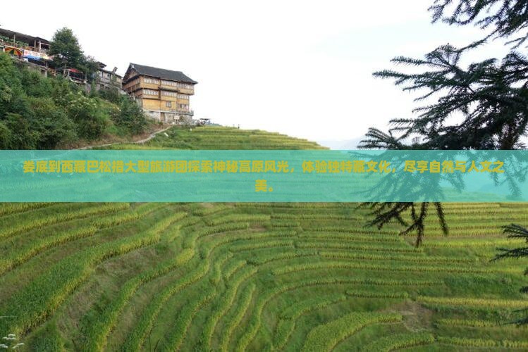 娄底到西藏巴松措大型旅游团