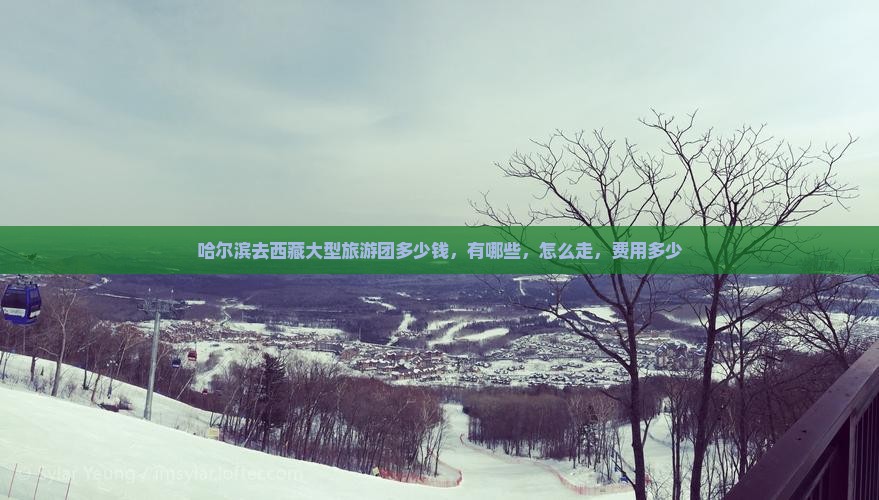 哈尔滨去西藏大型旅游团