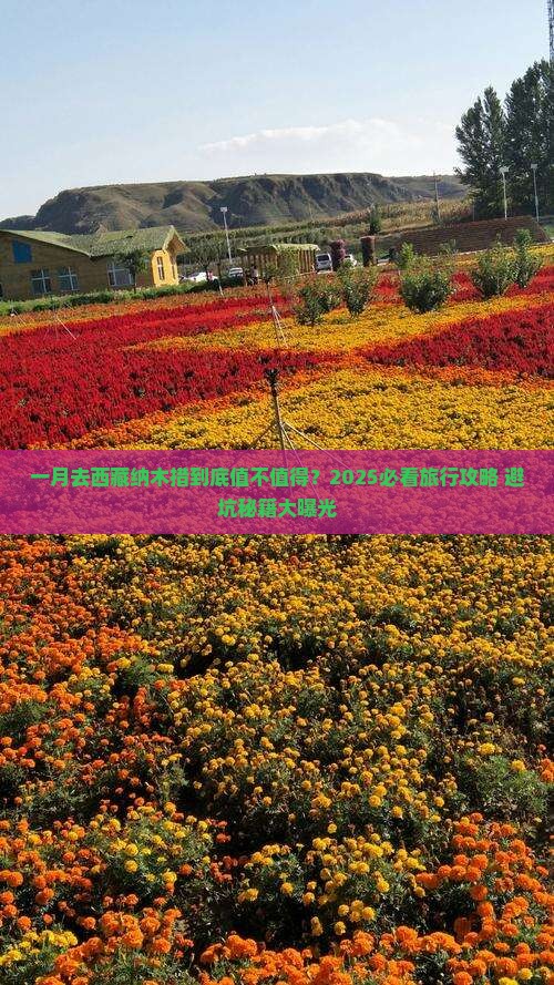 一月去西藏纳木措大型旅游团