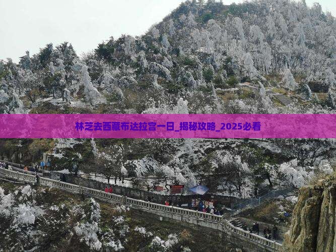 林芝去西藏布达拉宫一日